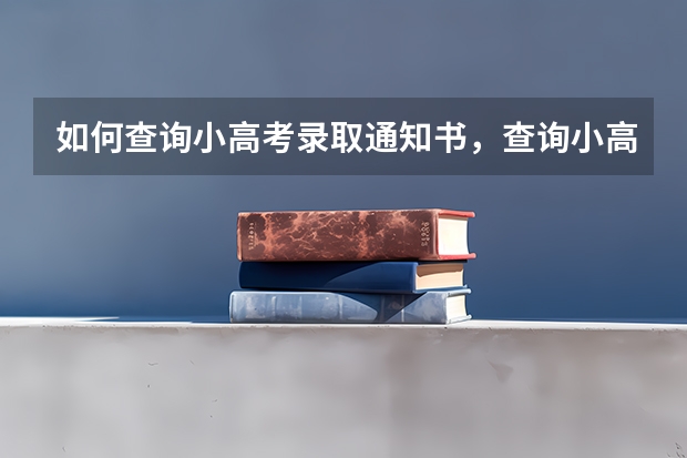 如何查询小高考录取通知书，查询小高考录取通知书的正确方式 北京京北职业技术学院高考录取通知书查询入口