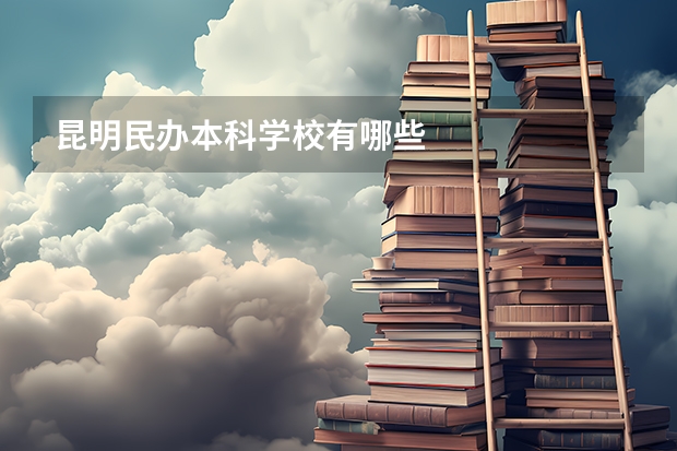 昆明民办本科学校有哪些