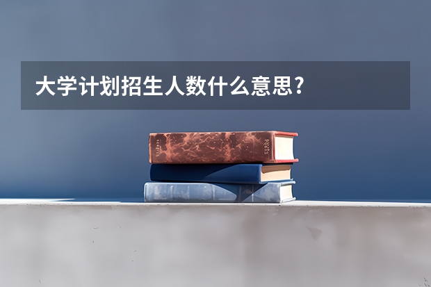 大学计划招生人数什么意思?