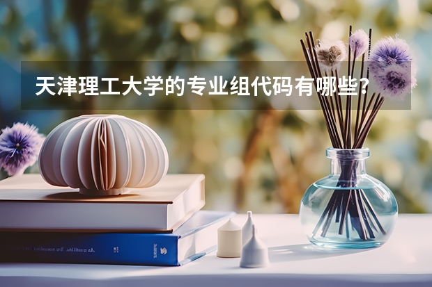 天津理工大学的专业组代码有哪些？
