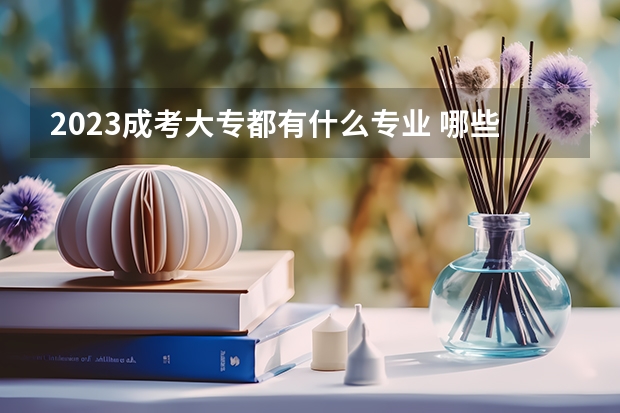 2023成考大专都有什么专业 哪些专业可以报？