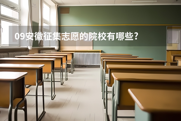 09安徽征集志愿的院校有哪些?