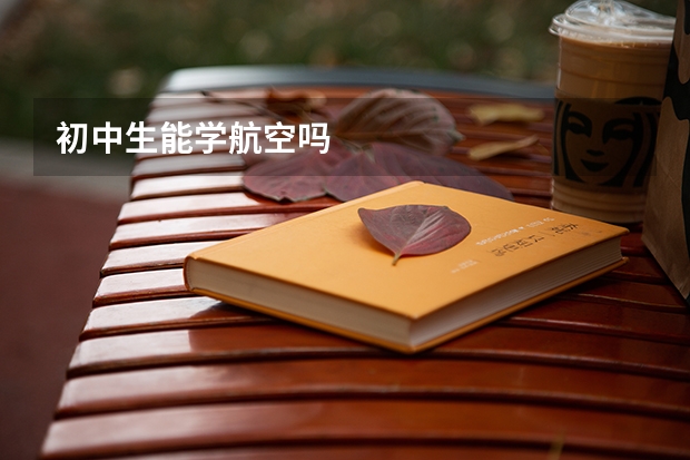 初中生能学航空吗