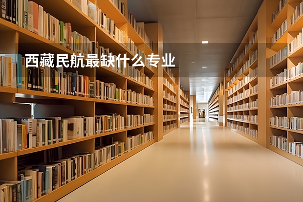 西藏民航最缺什么专业