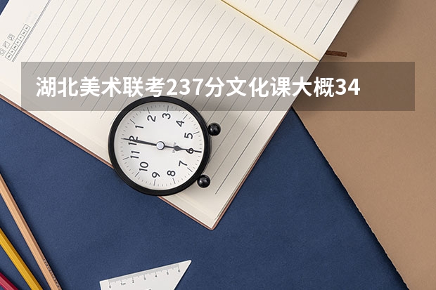 湖北美术联考237分文化课大概340来分能上什么大学啊最好是武汉的
